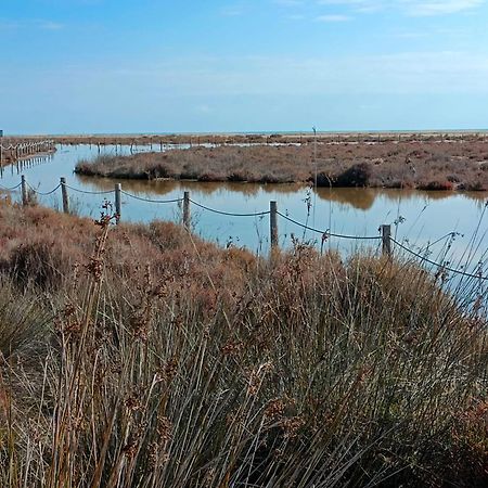 Rincon Del Delta, Apartamento En El Delta Del Ebro, Playa Trabucador Amposta, Tarragona L'Eucaliptus Eksteriør billede