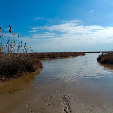 Rincon Del Delta, Apartamento En El Delta Del Ebro, Playa Trabucador Amposta, Tarragona L'Eucaliptus Eksteriør billede