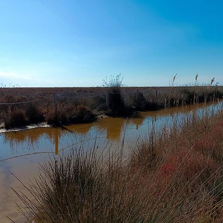 Rincon Del Delta, Apartamento En El Delta Del Ebro, Playa Trabucador Amposta, Tarragona L'Eucaliptus Eksteriør billede