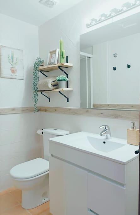 Rincon Del Delta, Apartamento En El Delta Del Ebro, Playa Trabucador Amposta, Tarragona L'Eucaliptus Eksteriør billede