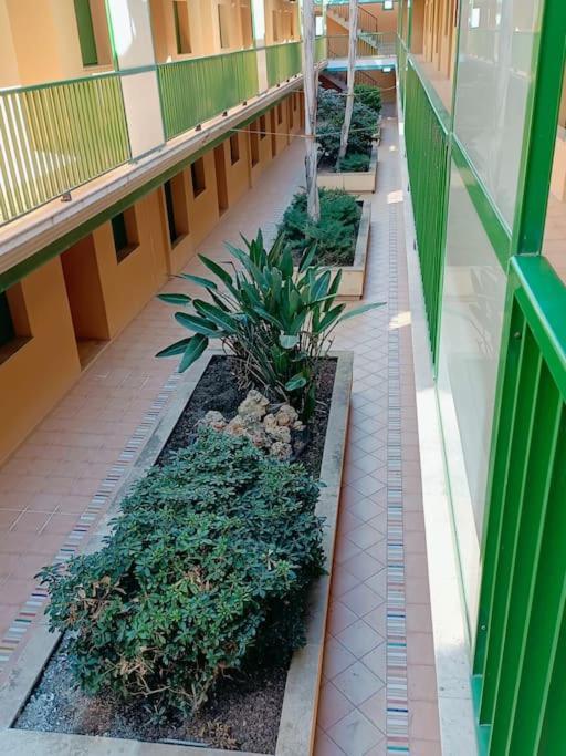 Rincon Del Delta, Apartamento En El Delta Del Ebro, Playa Trabucador Amposta, Tarragona L'Eucaliptus Eksteriør billede