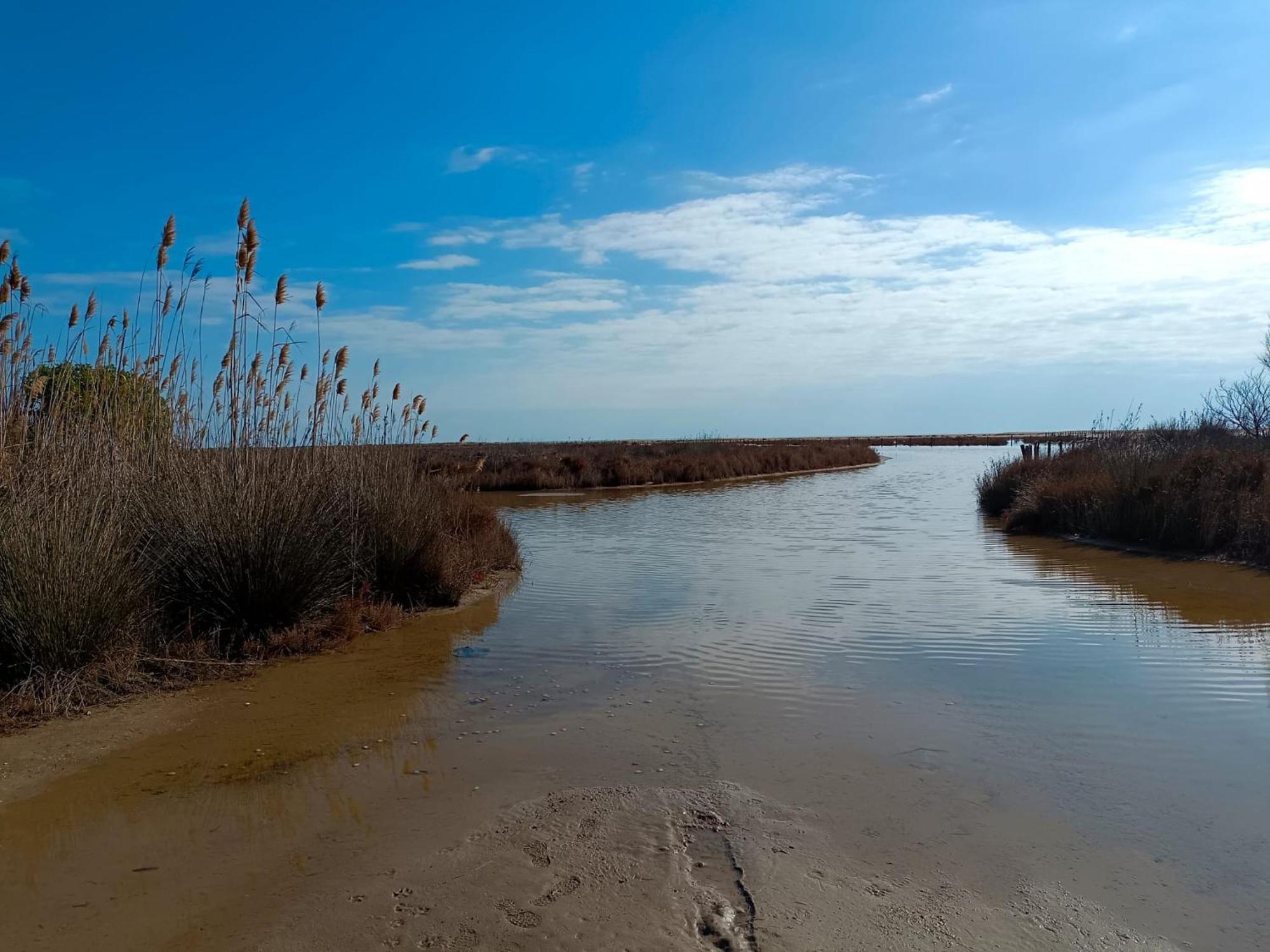 Rincon Del Delta, Apartamento En El Delta Del Ebro, Playa Trabucador Amposta, Tarragona L'Eucaliptus Eksteriør billede
