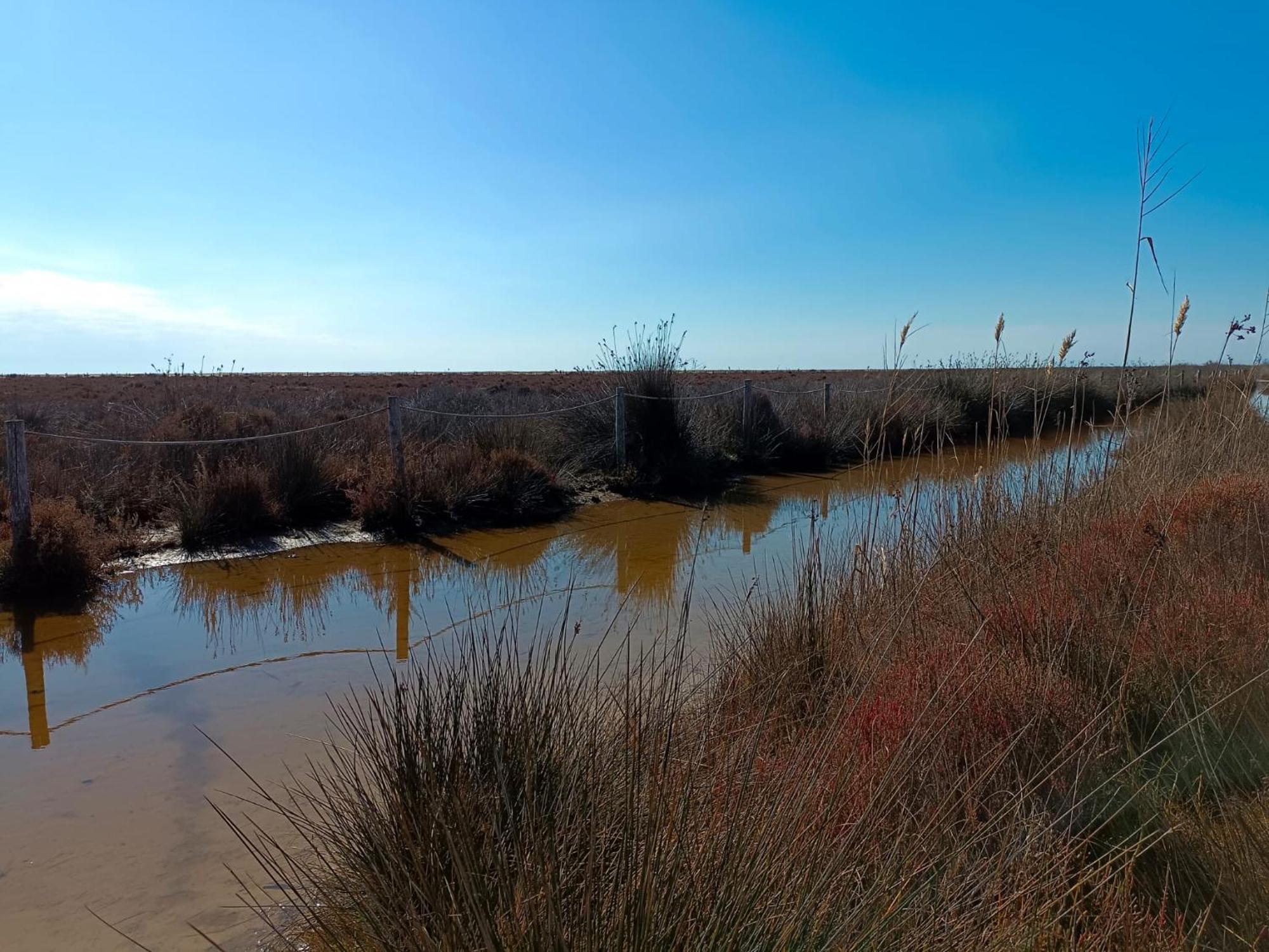 Rincon Del Delta, Apartamento En El Delta Del Ebro, Playa Trabucador Amposta, Tarragona L'Eucaliptus Eksteriør billede